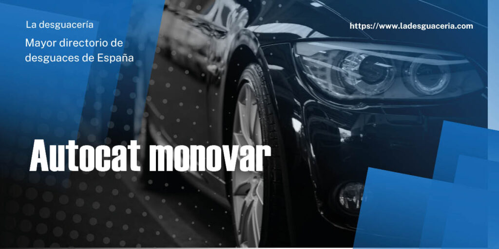 Imagen de Autocat monovar en Monóvar